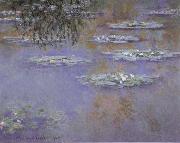 Waterlilies